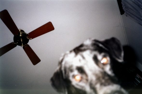message board image