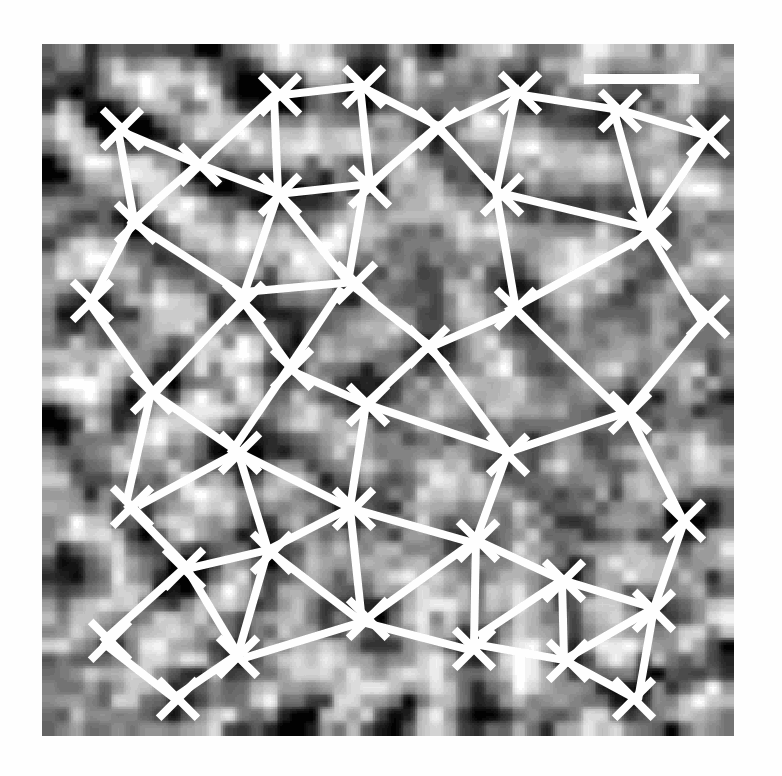 message board image